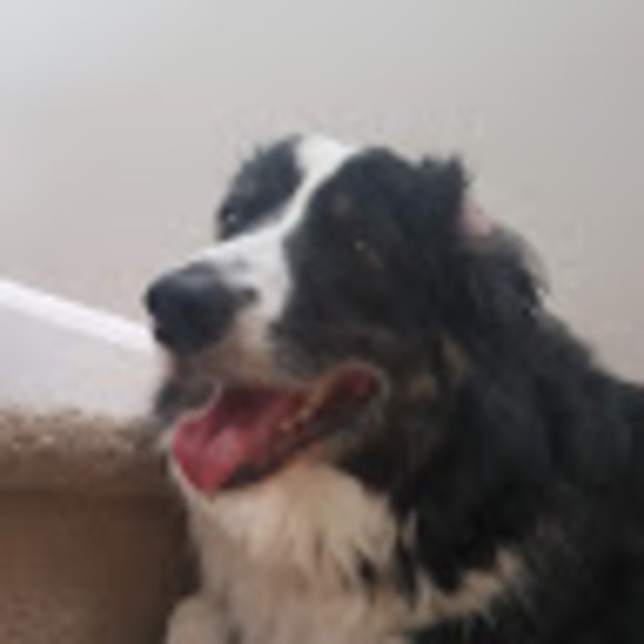 Meet your Posher, Sunita - Picture 1 of 1